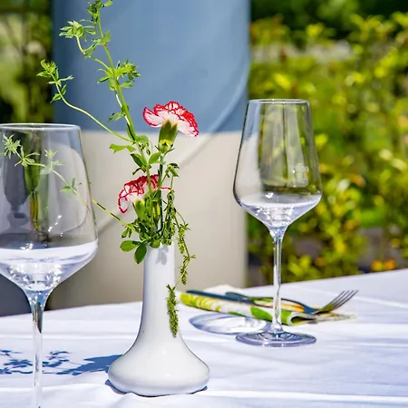 Trans World Donauwelle Linz