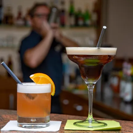 Hotel Trans World Donauwelle Linz