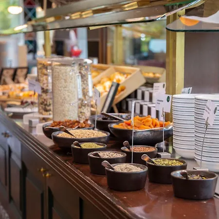 Trans World Donauwelle Linz