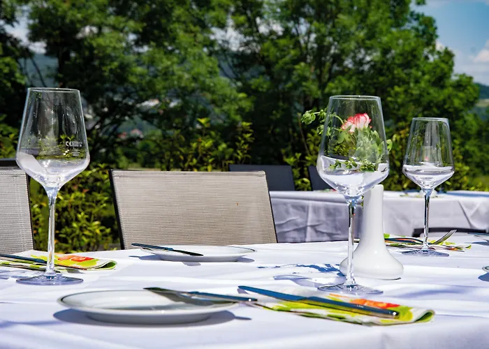 ホテル トランス ワールド ドナウエレン 4*