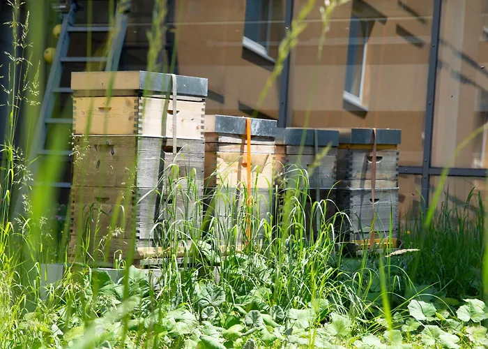 Trans World Donauwelle Отель Линц